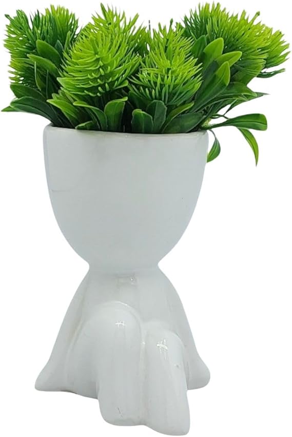  Vaso Decorativo com Planta Suculenta Robert Plant